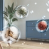 Philips   Dehumidifier DE5305/11 / DE5305/11
