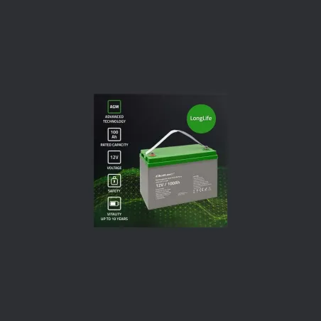 Qoltec 53038 Battery AGM 12V 100Ah