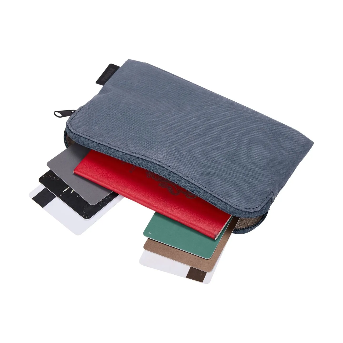 Thule | Travel Organizer | Aion | Organizer | Dark Slate