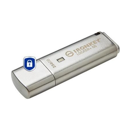 Kingston MEMORY DRIVE FLASH USB3.2/256GB IKLP50/256GB KINGSTON