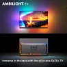 Philips OLED Smart Ambilight TV 55OLED910/12 / 55OLED910/12?/PACKAGE