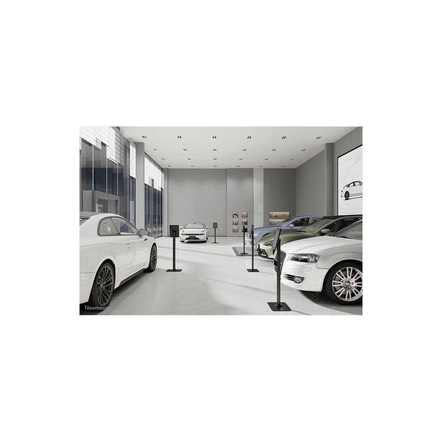 Neomounts Floor stand | Tilt, Rotate | FL15-627BL1 | Maximum weight (capacity) 3 kg | Black