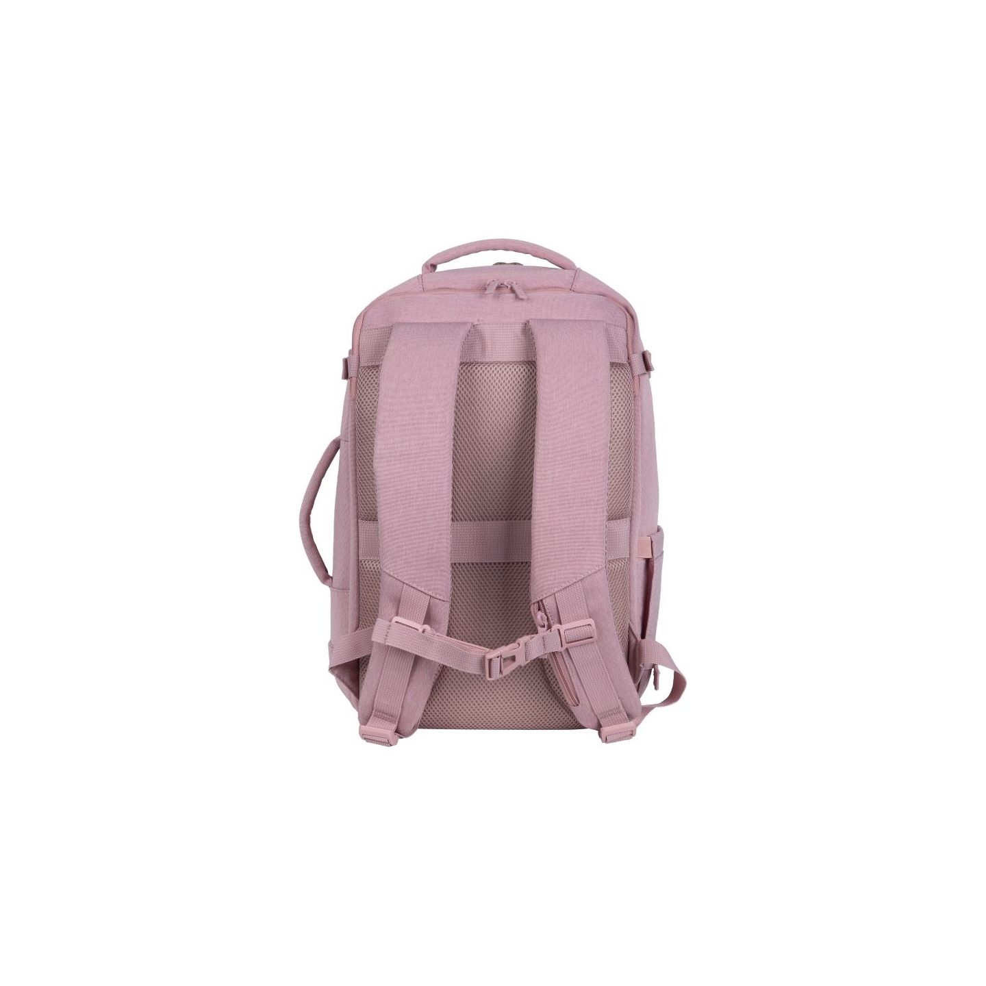 Natec Camel Lite | Fits up to size 15.6 " | Backpack | Pink