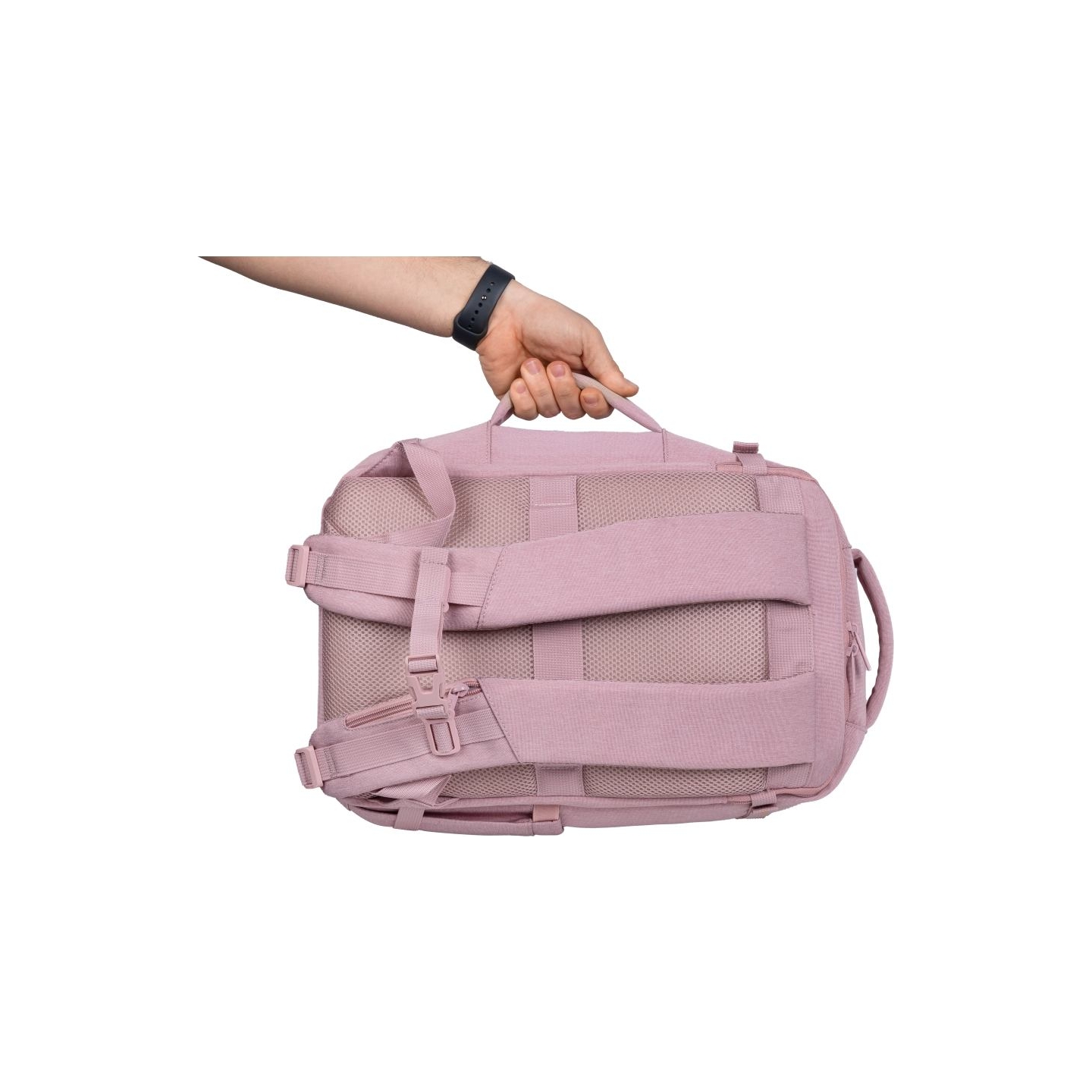 Natec Camel Lite | Fits up to size 15.6 " | Backpack | Pink