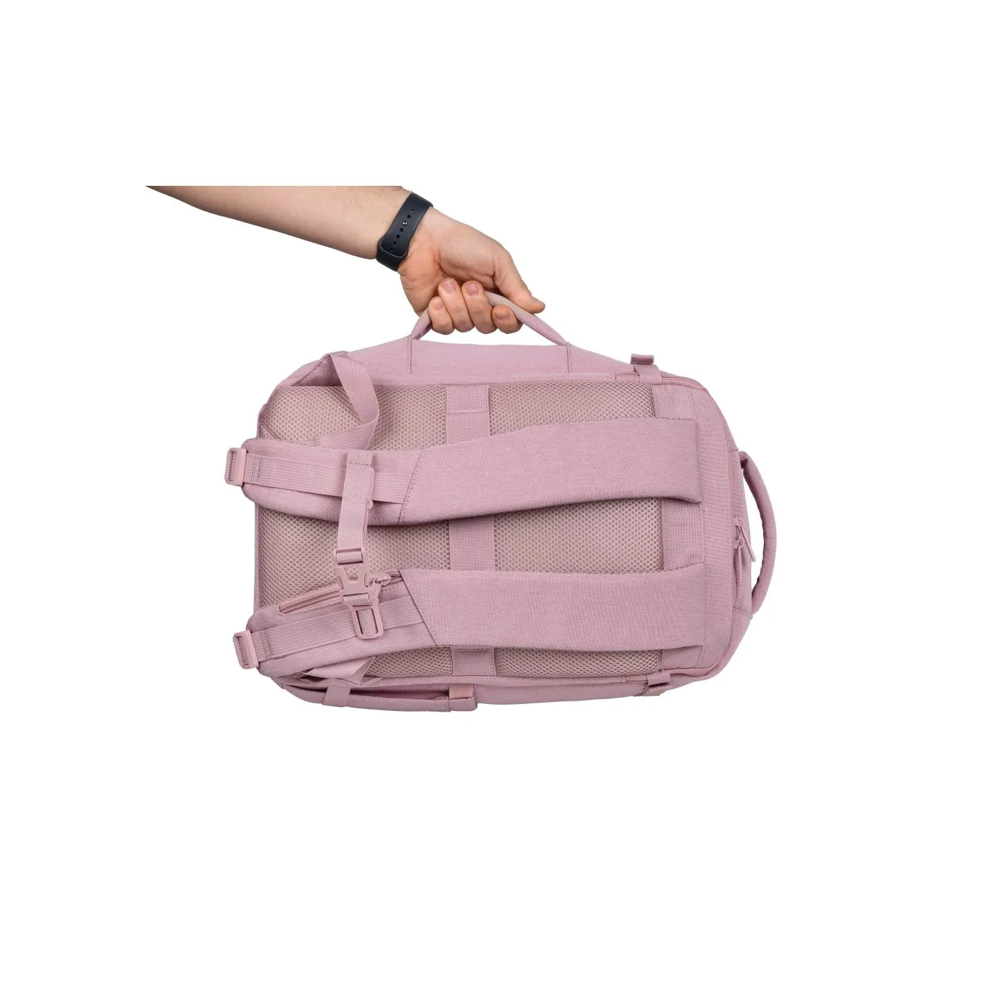 Natec Camel Lite | Fits up to size 15.6 " | Backpack | Pink