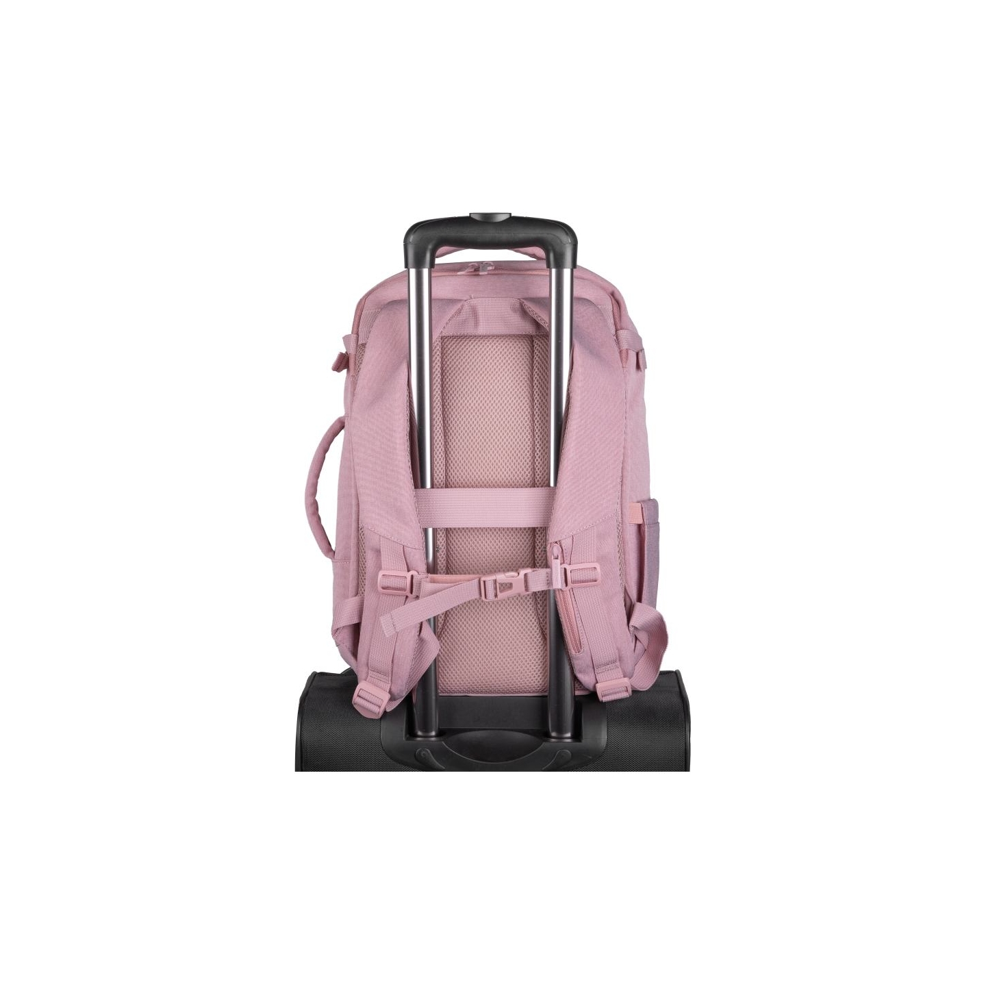 Natec Camel Lite | Fits up to size 15.6 " | Backpack | Pink