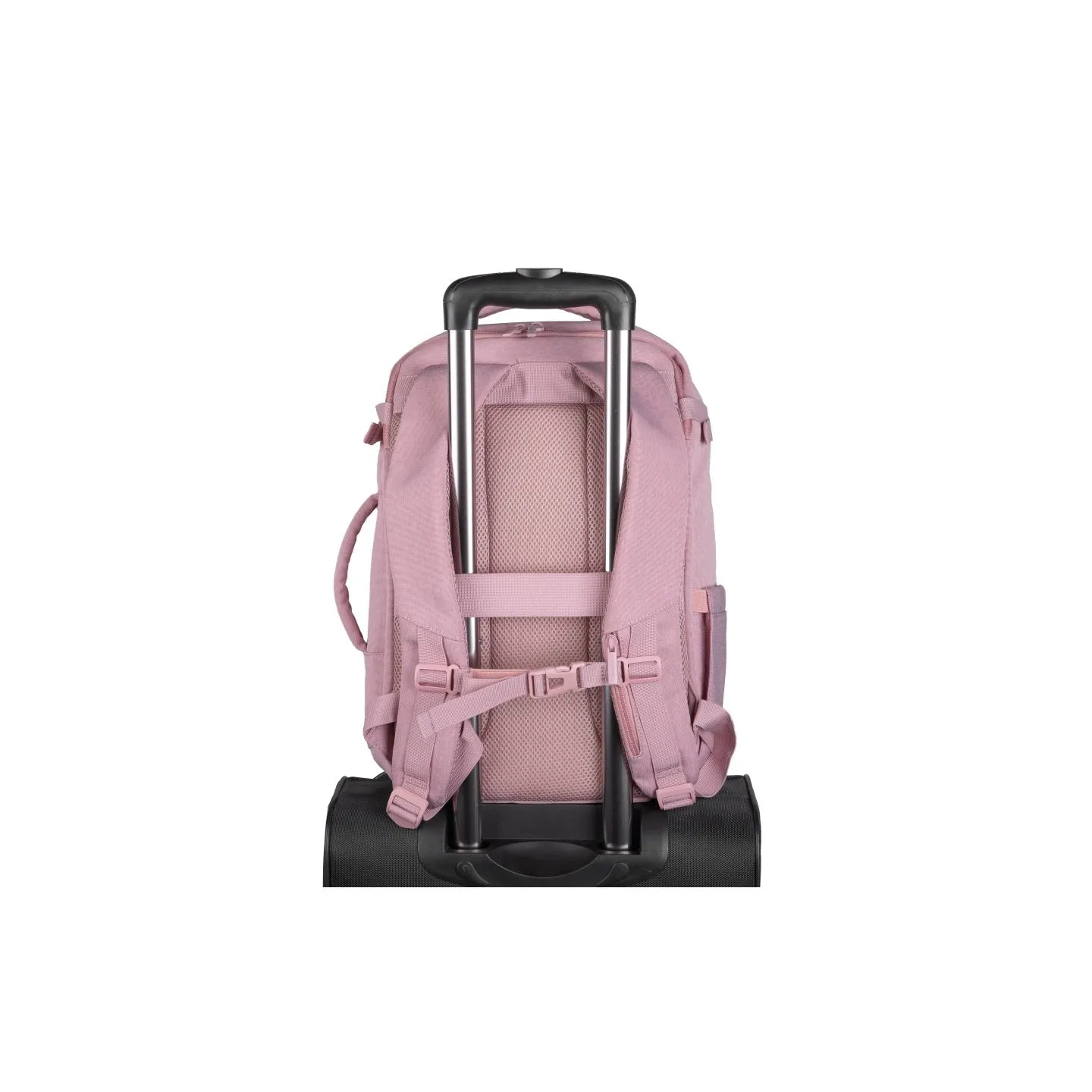Natec Camel Lite | Fits up to size 15.6 " | Backpack | Pink