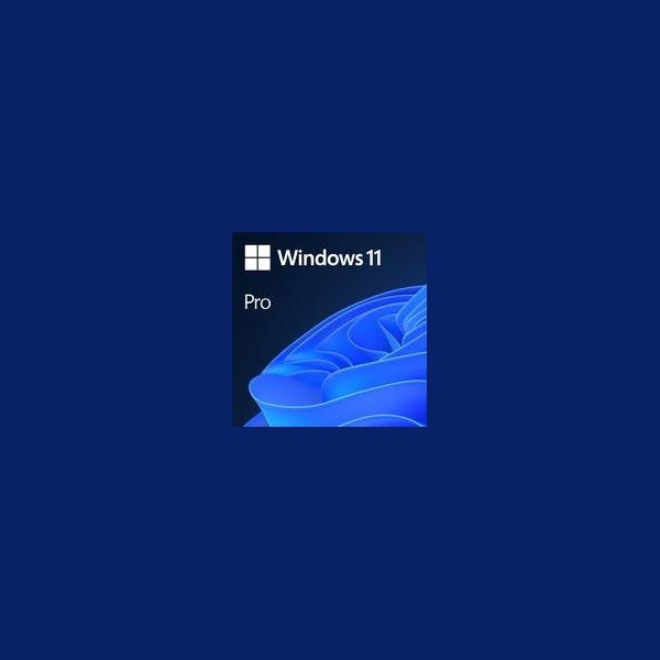 Microsoft Software|MICROSOFT|Win 11 Pro GGK 64Bit Eng Intl 1pk DSP ORT OEI DVD|Win Pro|OEM|English|4YR-00316