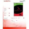 Seagate IronWolf Pro 30TB 3.5 ST30000NT011