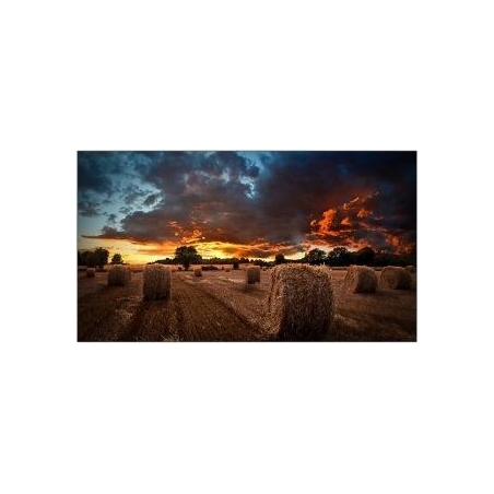 Samsung Professional monitor VM46B-U 46 inch Video wall Mat 24h/7 500(cd/m2) 1920 x 1080(FHD) N/A 3 years On-Site (LH46VMBUBGBXE