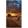 Samsung Professional monitor VM46B-U 46 inch Video wall Mat 24h/7 500(cd/m2) 1920 x 1080(FHD) N/A 3 years On-Site (LH46VMBUBGBXE