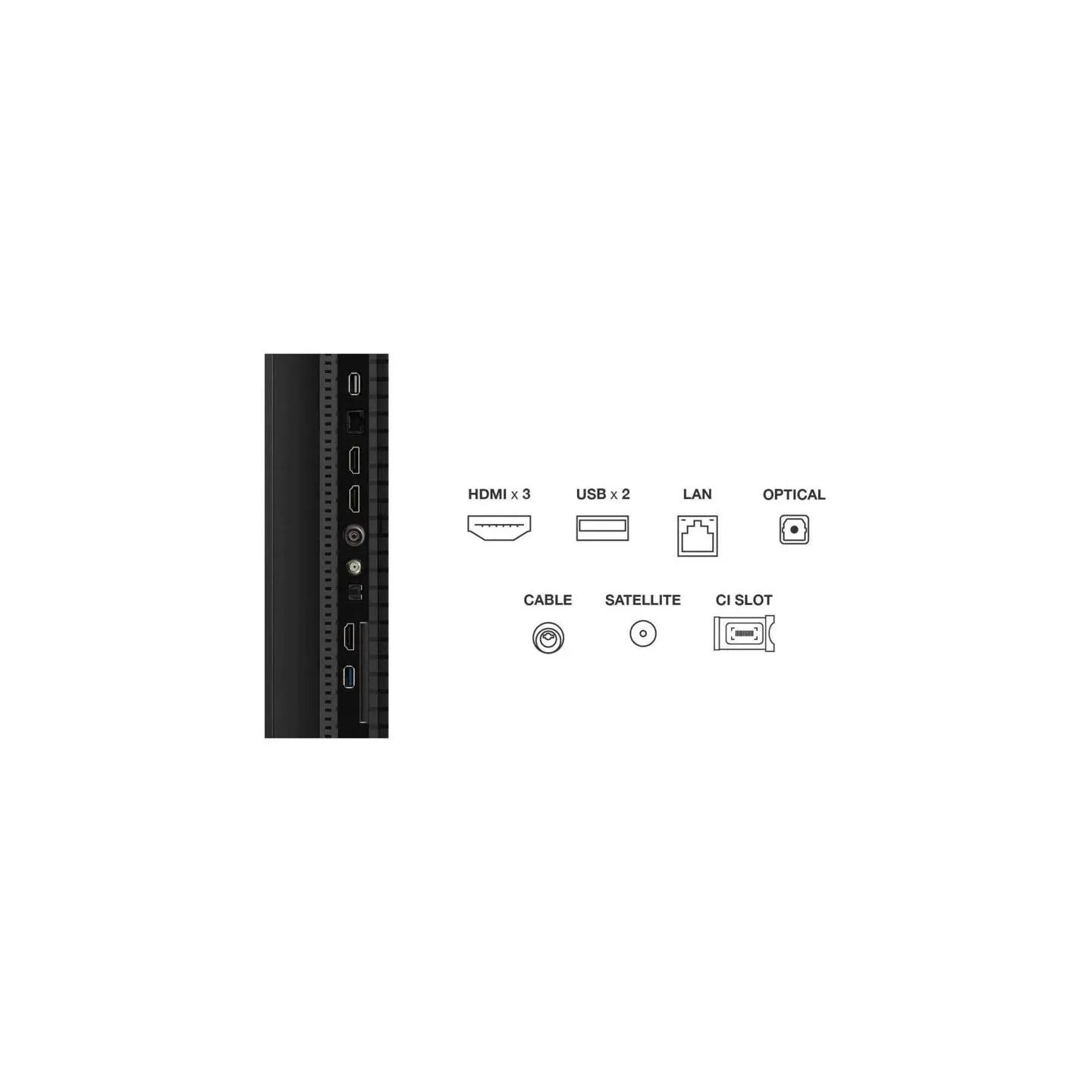 TCL LOT14536