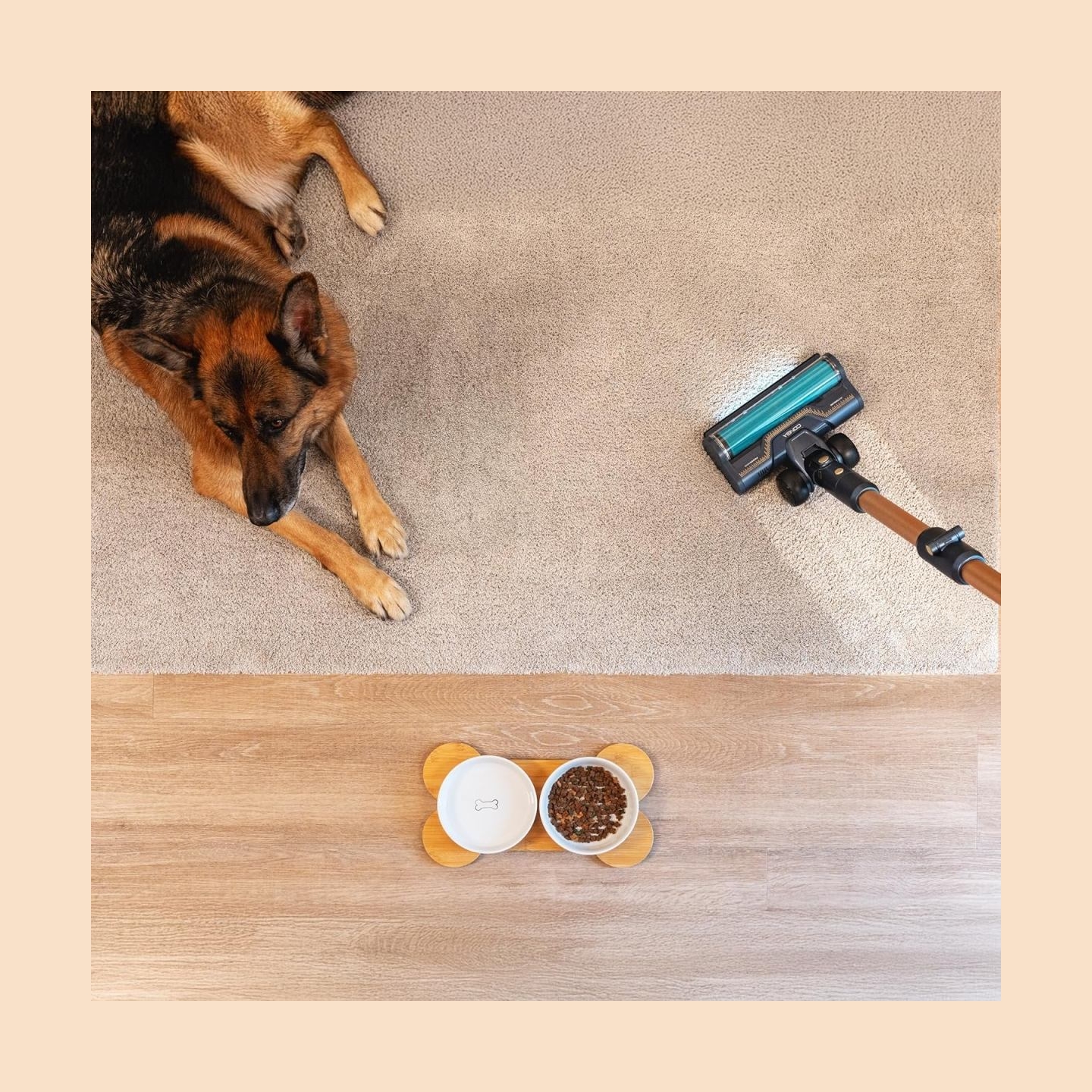 Cecotec Vacuum cleaner | Rockstar RX70 AquaPet Flex Conga | Cordless operating | Stick/handheld | 780 W | Operating time (max) 1