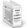 Epson 1LB Singlepack Light Gray T47A9