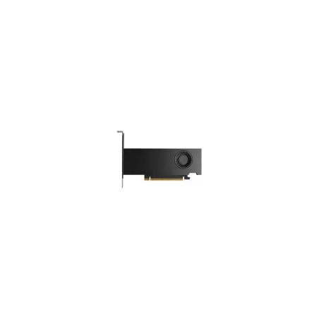 Dell NVIDIA RTX PRO 2000 BLACKWELL, 16 GB, 4MDP, FULL-HEIGHT
