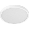 Xiaomi Smart Ceiling Light D40