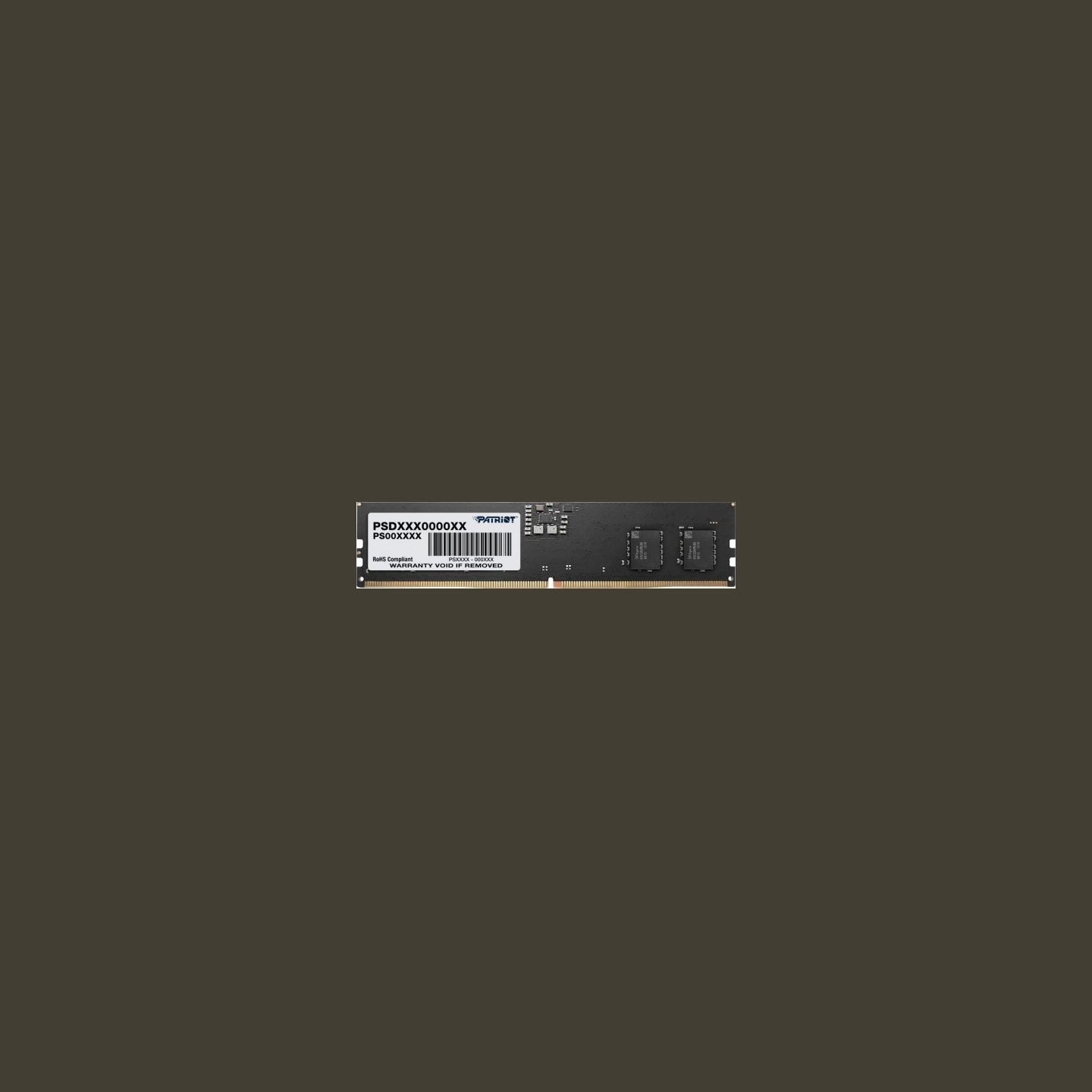 Patriot Memory Signature DDR5 8GB/4800(1*8GB) CL40