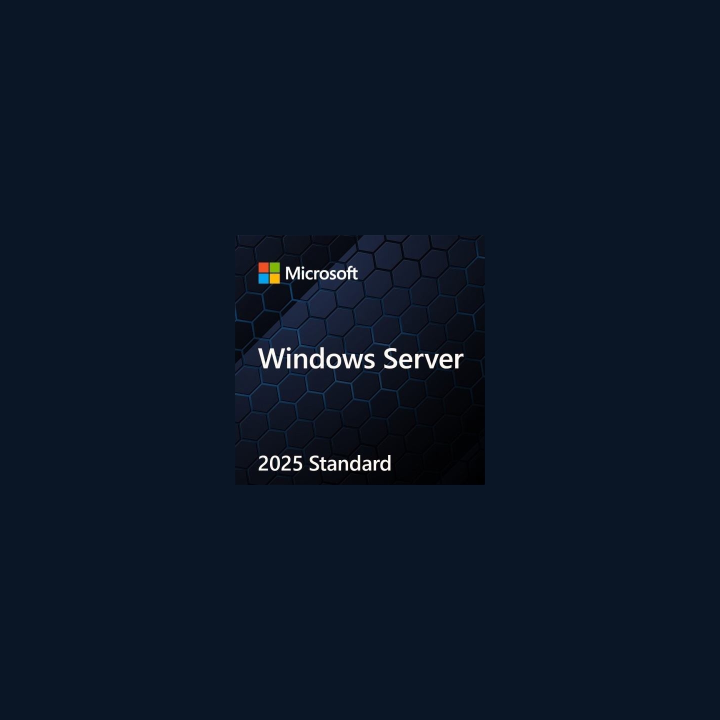 Microsoft OEM Win Svr Std 2025 PL x64 16Core DVD EP2-25194