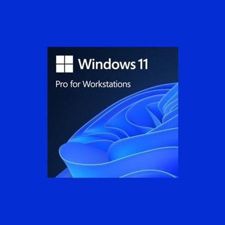 Microsoft OEM Windows 11 Pro for Workstations PL x64 HZV-00117
