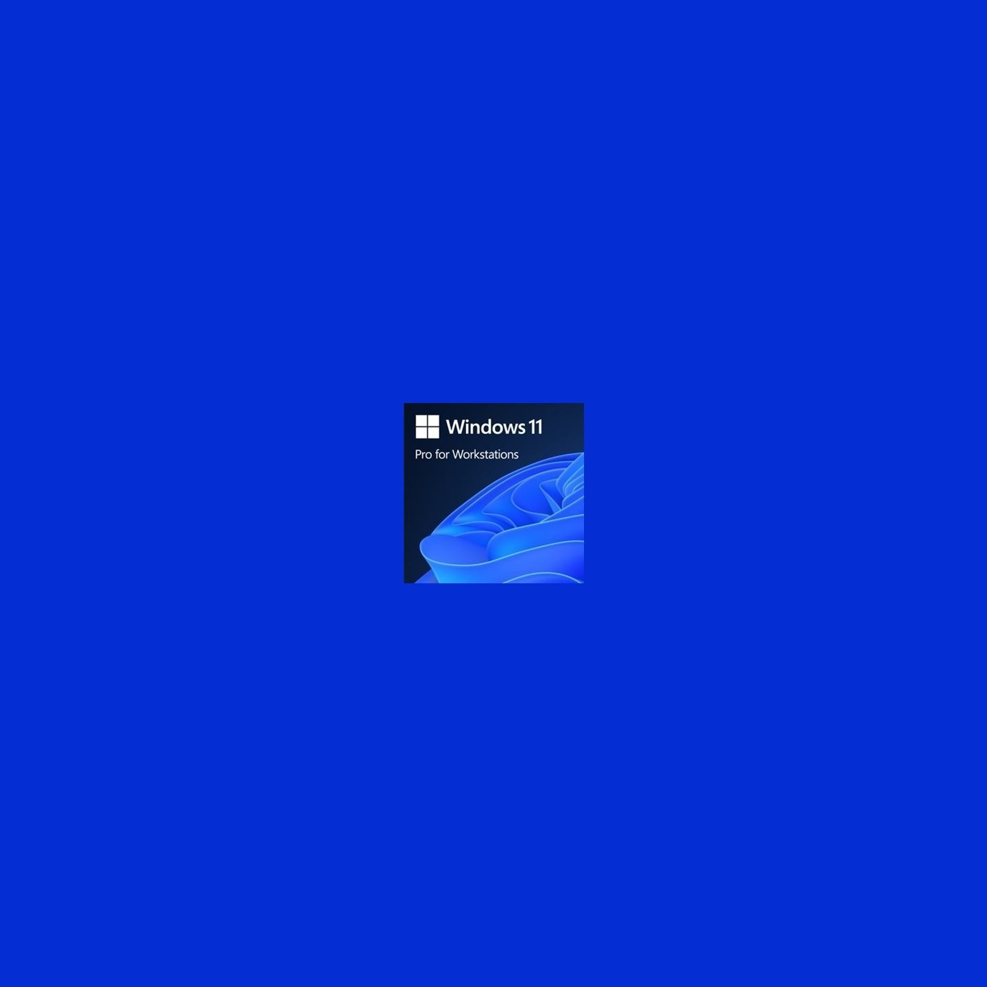Microsoft OEM Windows 11 Pro for Workstations PL x64 HZV-00117