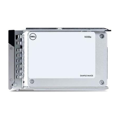Dell SSD 2.5" / 960GB / NVMe / RI / U.2 Gen4 / Hot-Plug / 15G | Dell