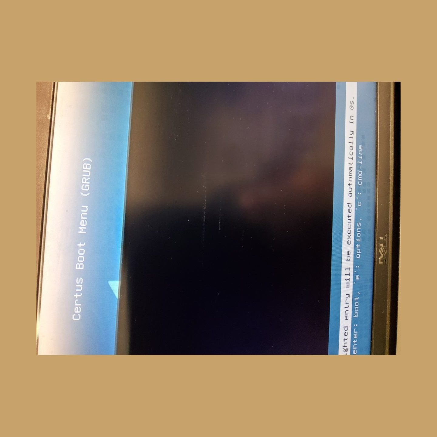 Dell Latitude 5420 | 16 GB | 1 x 256 SSD | B