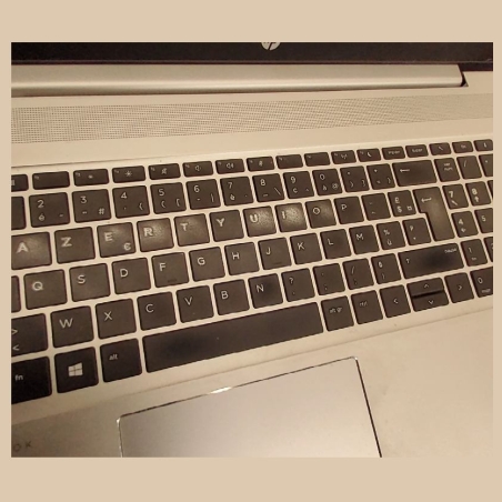 HP ProBook 455 G7 | 8 GB | 1 x 256 SSD | B