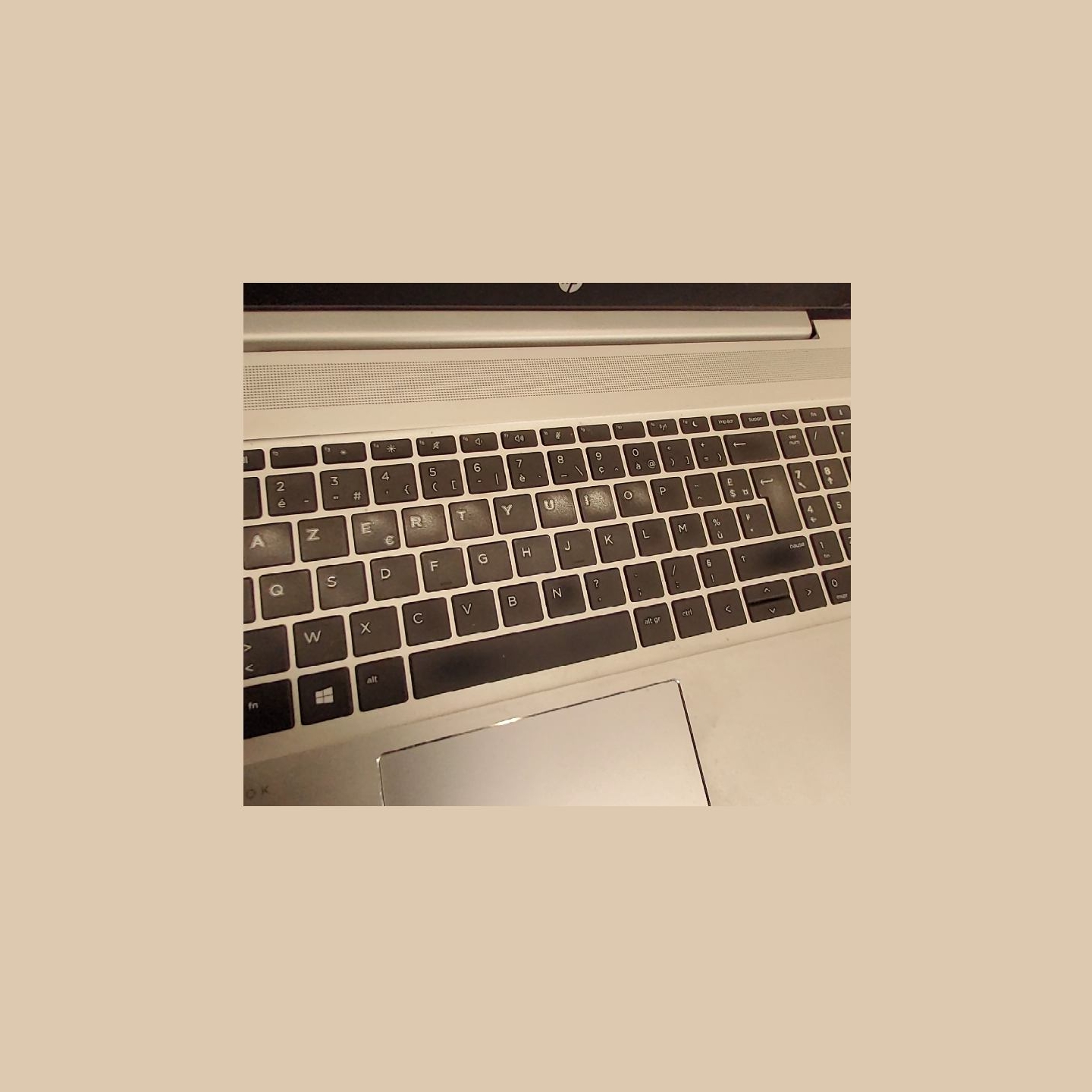 HP ProBook 455 G7 | 8 GB | 1 x 256 SSD | B
