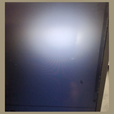 Lenovo ThinkPad X1 Carbon Gen 10 | 16 GB | 1 x 256 SSD | A