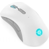 Lenovo LEGION M600 WIRELESS GAMING MOUSE STINGRAY