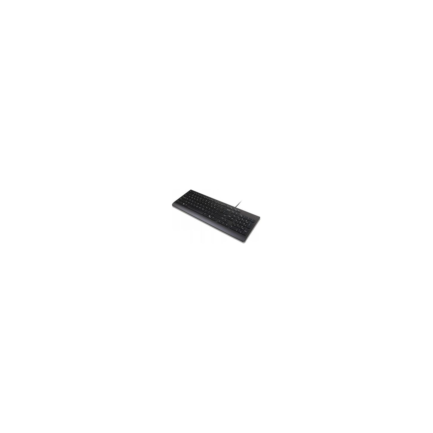 Lenovo ESSENTIAL WIRED KEYBOARD US EURO (COPILOT)