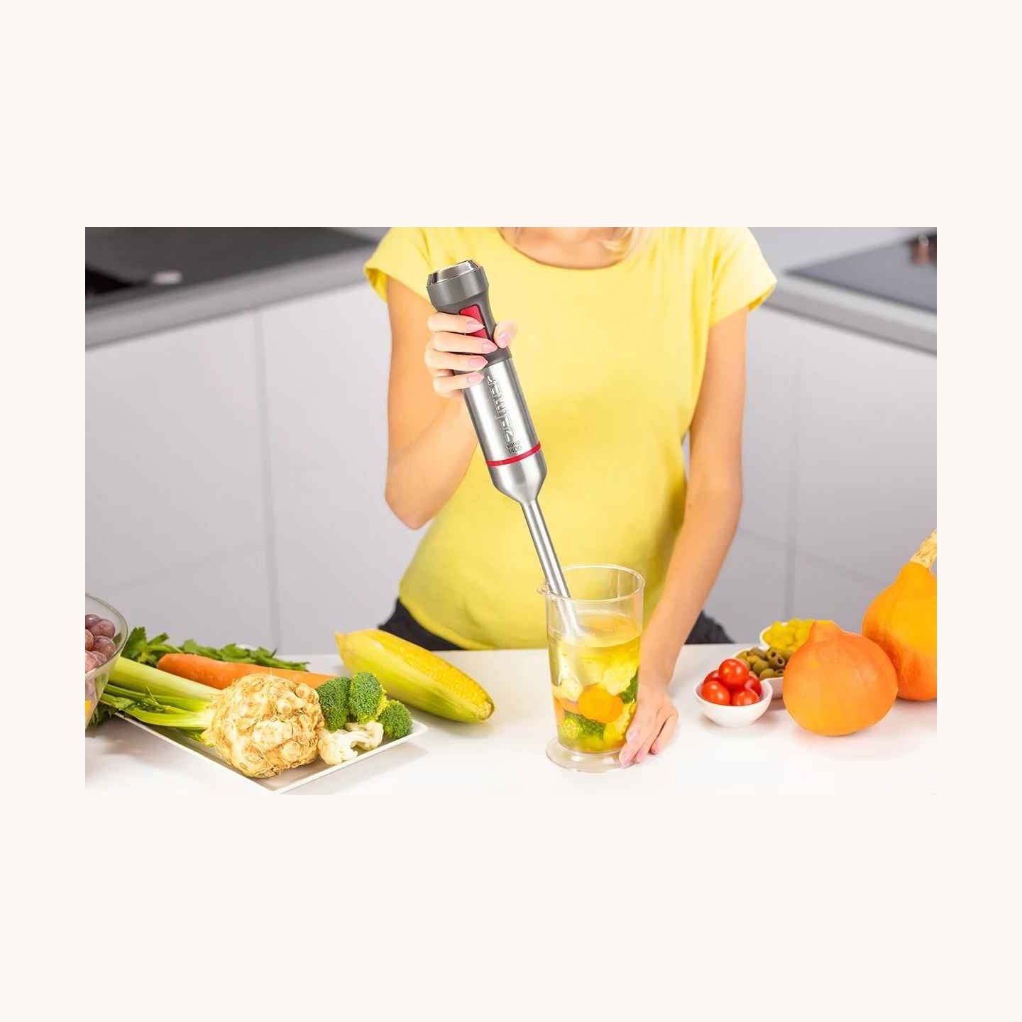 Zelmer ZHB4652 Vario Hand Blender