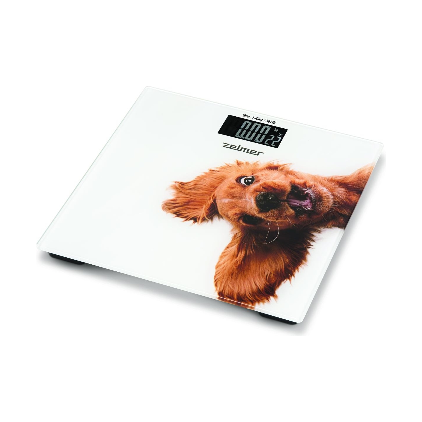 Zelmer ZBS1010 Crazy dog