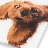 Zelmer ZBS1010 Crazy dog