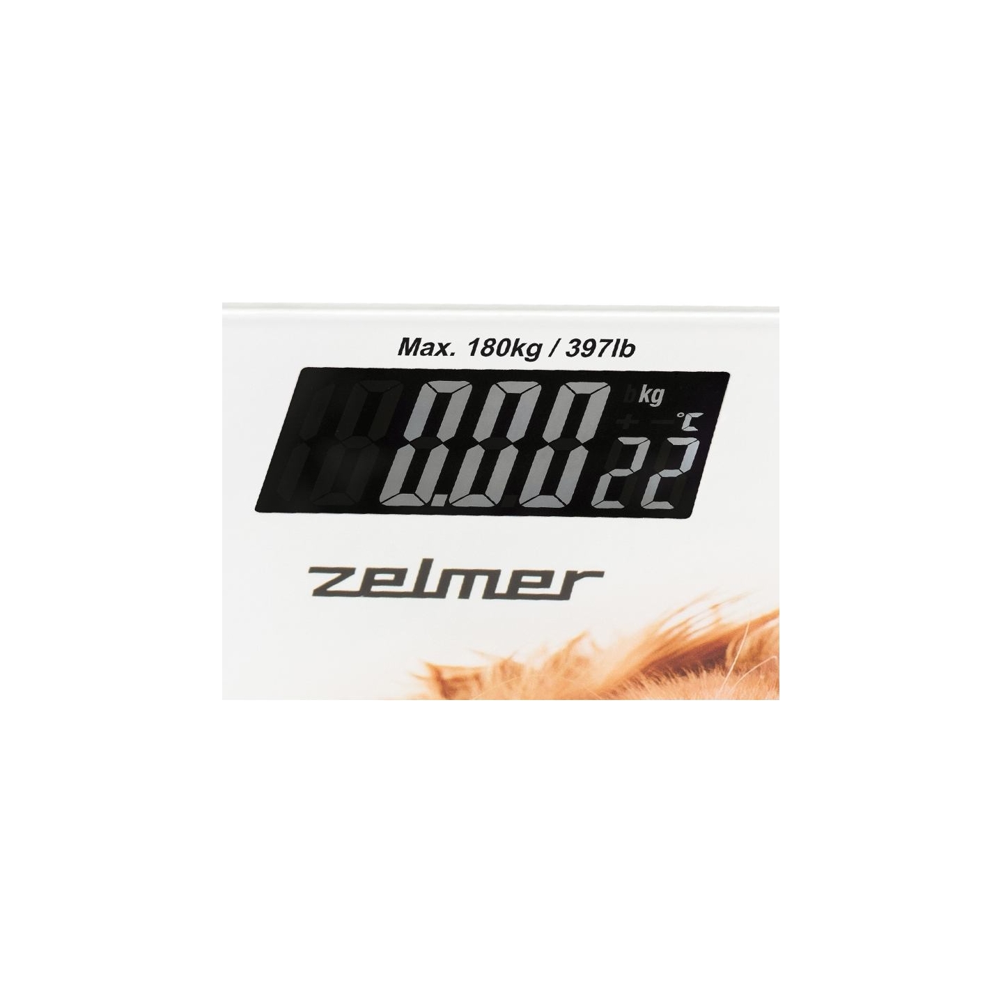Zelmer ZBS1010 Crazy dog