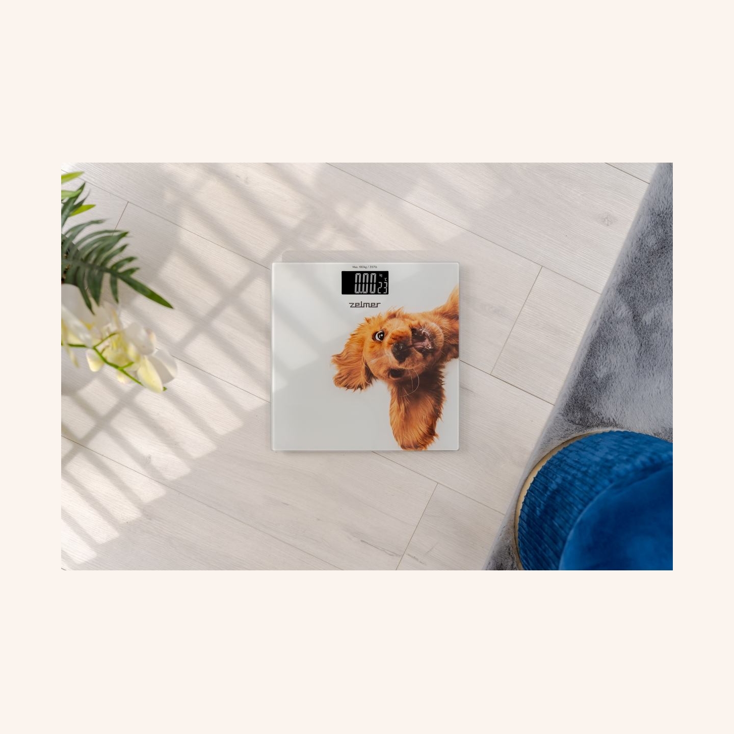 Zelmer ZBS1010 Crazy dog