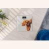 Zelmer ZBS1010 Crazy dog