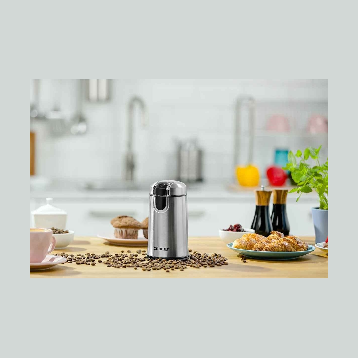 Zelmer ZCG7425 Coffee Grinder