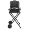 Severin PG 8598