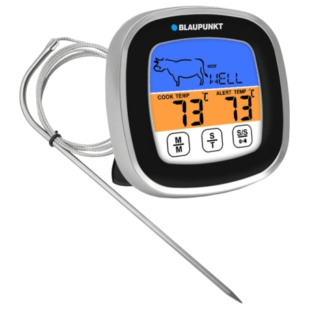 Blaupunkt FTM501