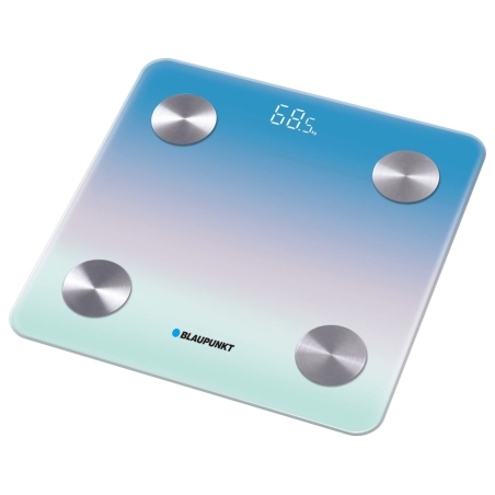 Blaupunkt BSM601BT