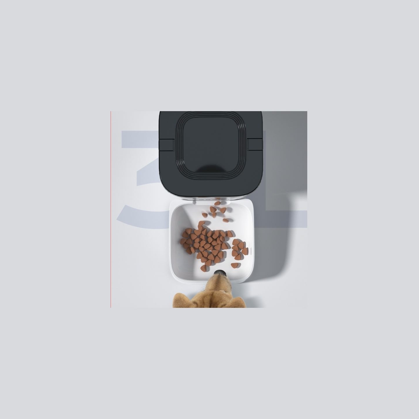 Sponge Automatic Pet Feeder Smart