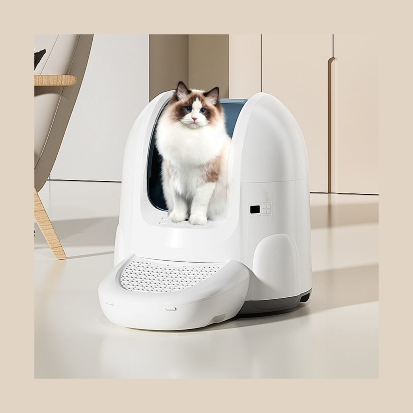 Sponge Pet Smart Litter Box