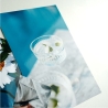 Kodak Ultra Premium Photo Paper 280g High Gloss 10 x 15 cm 60 Sheets