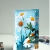 Kodak Ultra Premium Photo Paper 280g High Gloss 10 x 15 cm 60 Sheets
