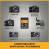 Kodak CFexpress Type A 1 Tb EKMCFXA1TK