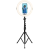 Agfaphoto AGFA ARL11XL Ring Light + Tripod