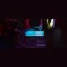 Kingston Memory DDR4 Fury Beast RGB 16GB(2* 8GB)/3200 CL16