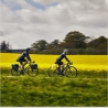 Thule 5288 Shield Pannier 25L Pair Black