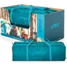 Bestway 68090 Pavillo Activemount 3 Tent